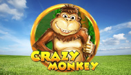 Crazy Monkey